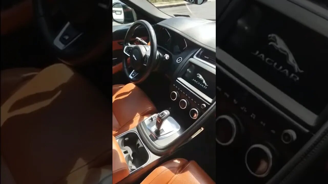 Never liked jaguars 🤫🤐. Until I detailed this one.👀👍 #fypシ