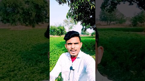 विदेश की शादी। #viral#viralshort#viralshortvideo #shortsyoutube #shortfeed #trending