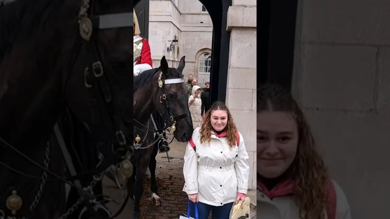 Horse bites twice #horseguardsparade