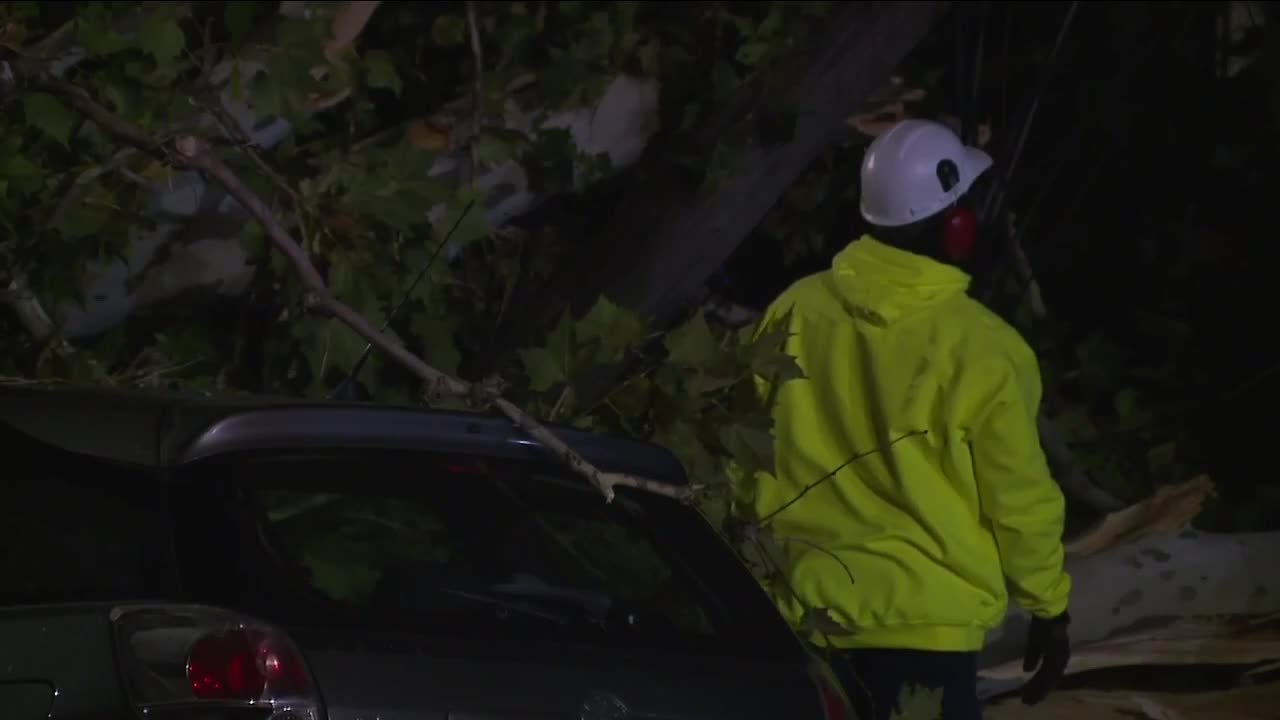 Massive tree crushes 3 cars, leaves residents stranded in their homes on West 52nd Street