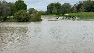 Humber River James Gardens Toronto water surge aftermath