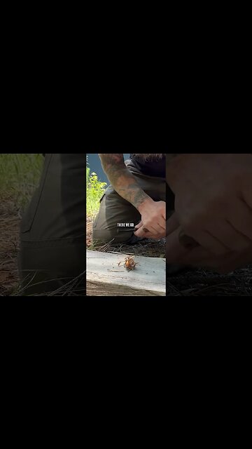 Hemp Style Fire Starters