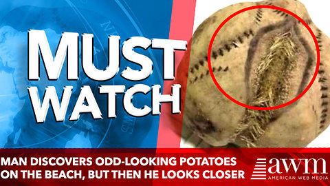 Man Discovers Odd-Looking Potatoes On The Beach, But Then He Takes A Second Look