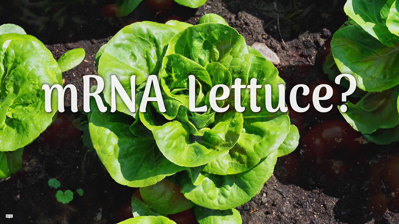 mRNA lettuce?