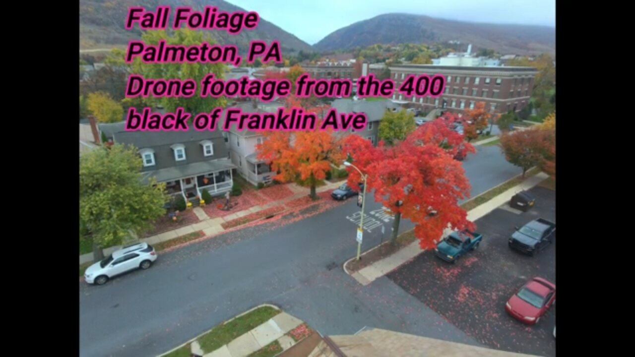 Fall Foliage, Palmerton, PA