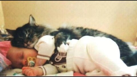 Cats Meeting Babies for the FIRST Time👶😺