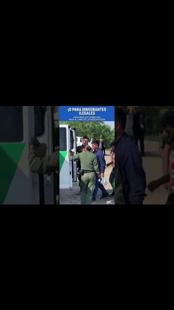 Audiencia sobre perito especial que pide Trump; Una mirada a la compañera de fórmula de Crist | NTD