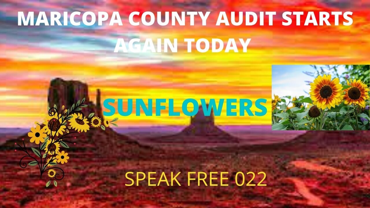 MARICOPA COUNTY ARIZONA AUDIT STARTS AGAIN...SUNFLOWERS