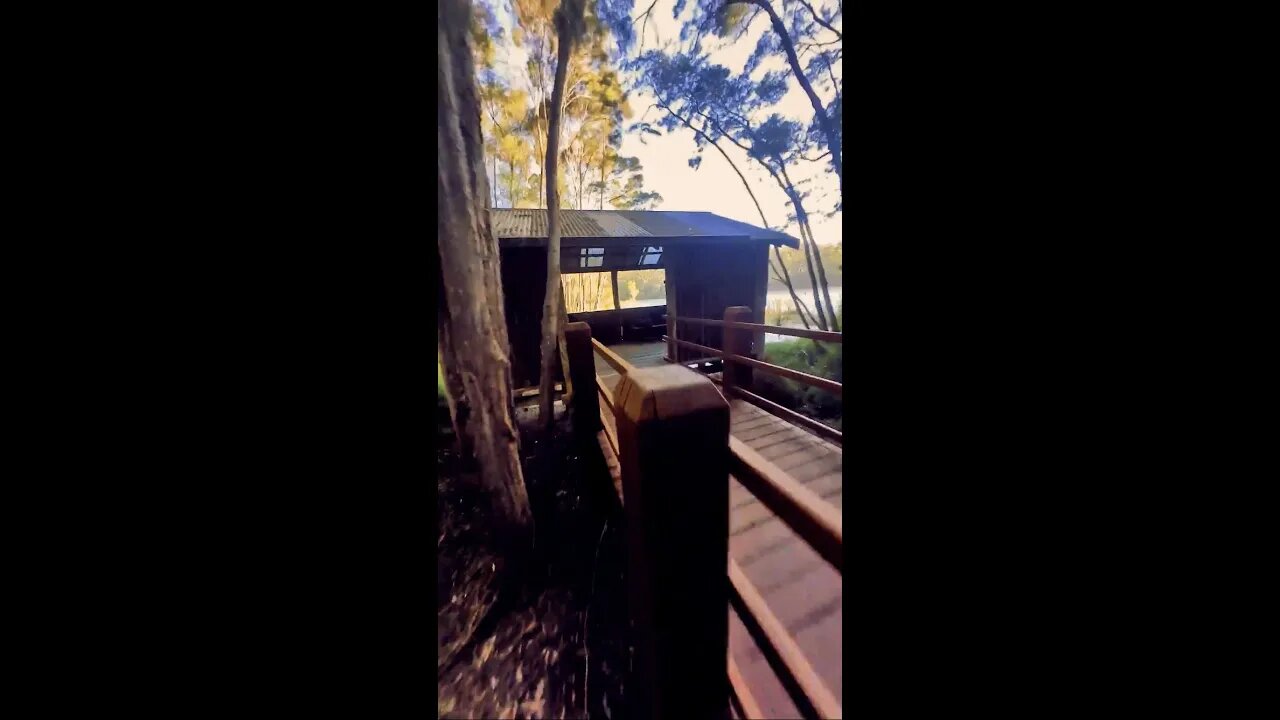 Flying right THROUGH this lake cabin! 🤯 #shorts #fpv #cinematic #cinematicfpv Full video on channel