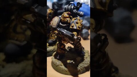 Salamanders being spooky