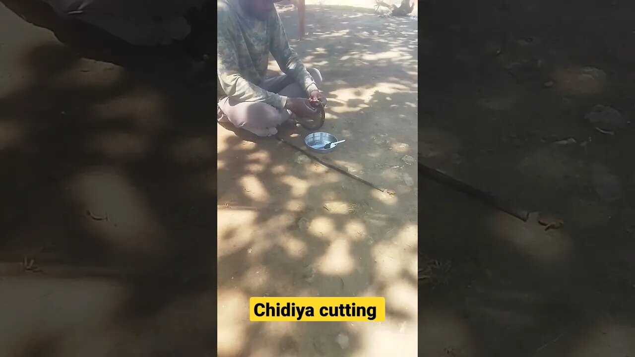 kitna badal gaya insaan #short #viral #tranding #dehati #funni #kese mar ke kaat raha h chidiya #kum