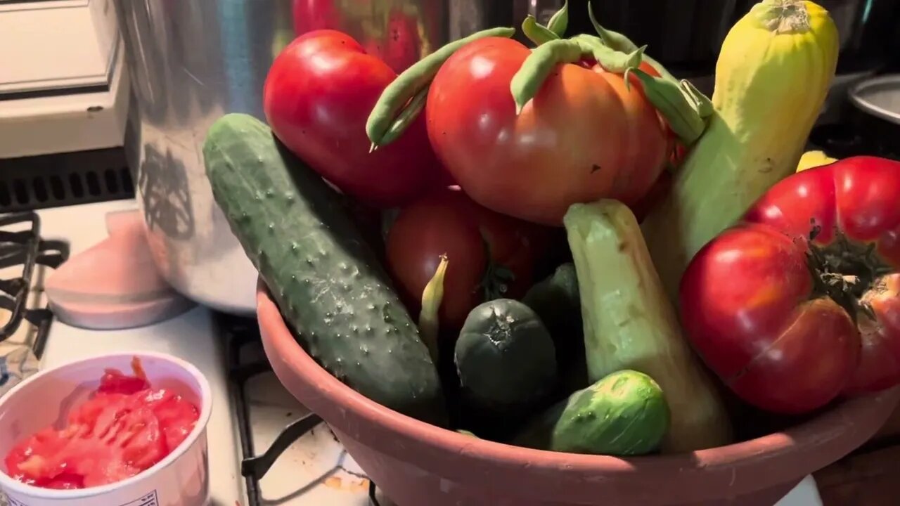 Harvest From The Gardens Small But Plentiful. Thank You For The Blessings!