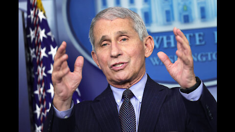 What is the Fascination With Dr. Fauci?