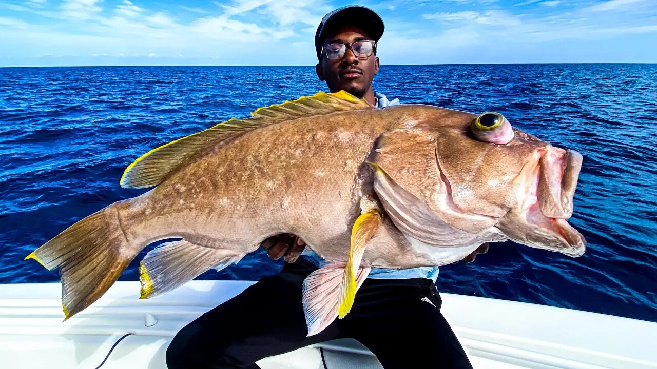 *MASSIVE* YellowEdge Grouper *FLORIDA STATE RECORD* (Catch and Cook)