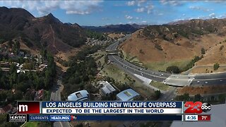 Los Angeles building new wildlife overpass