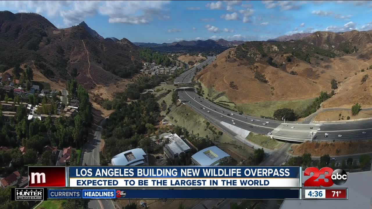 Los Angeles building new wildlife overpass