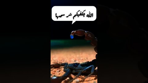 الله يكفيكم شرها