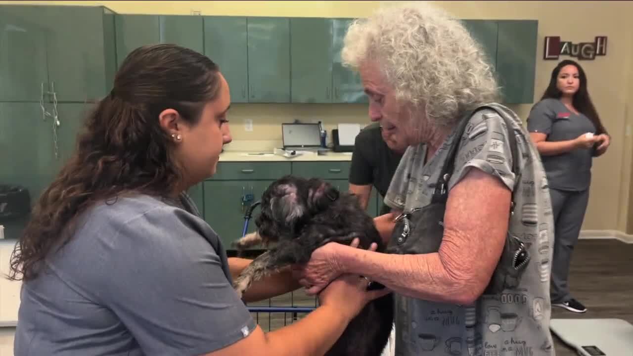 Stress-Free Sundays provide Hillsborough seniors and their pets with care