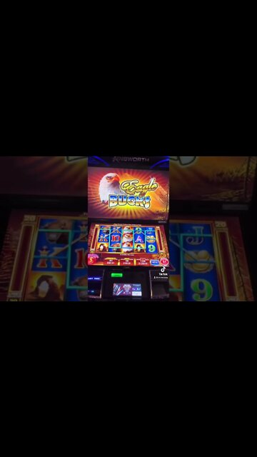 Hand Pay on Eagle Bucks! 🤑#shorts #shortsvideo