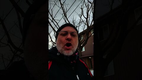 JQ22 Vlog 012 | Quidam's Question!