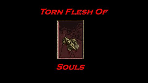 Diablo Unique Items Episode 2: Torn Flesh of Souls