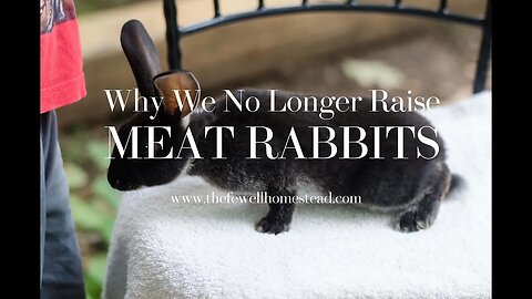 Why We Are No Longer Raising Meat Rabbits