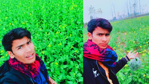 Shahrukh Rajput Boy life village life Shahrukh Rajput Boy new video sarson ka khet