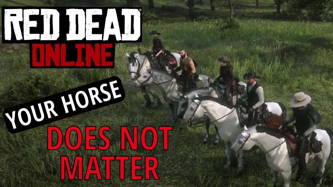 Your Horse Does Not Matter In RDO