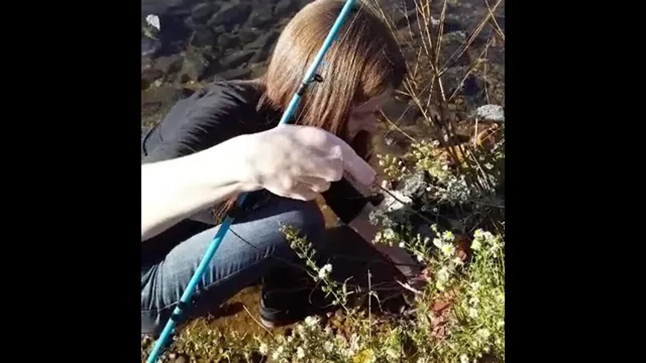 Redhead fishing confused Perch