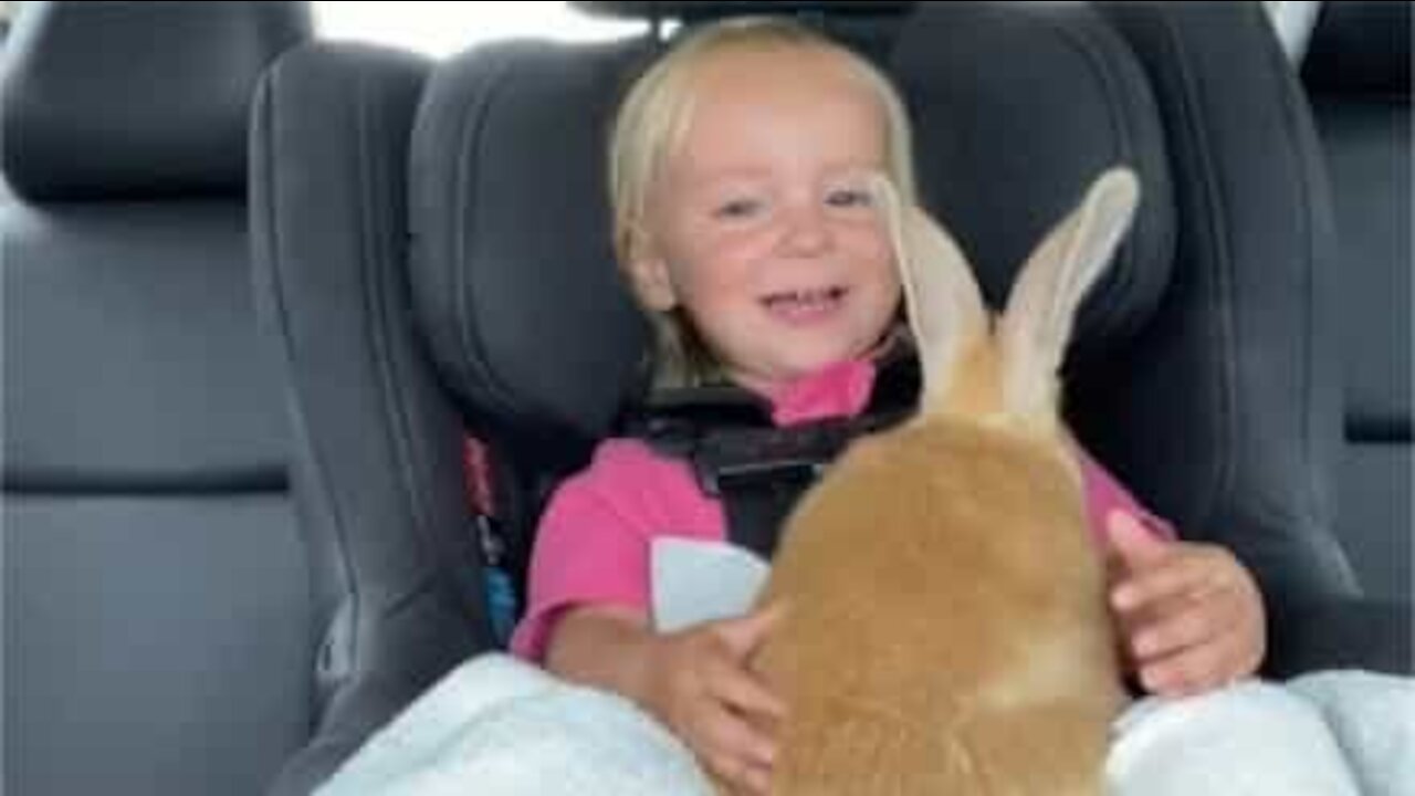 Un lapin rend une petite fille folle de joie