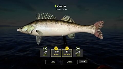 Russian Fishing 4 Ladoga Archipelago Zander 7 . 48 Kg