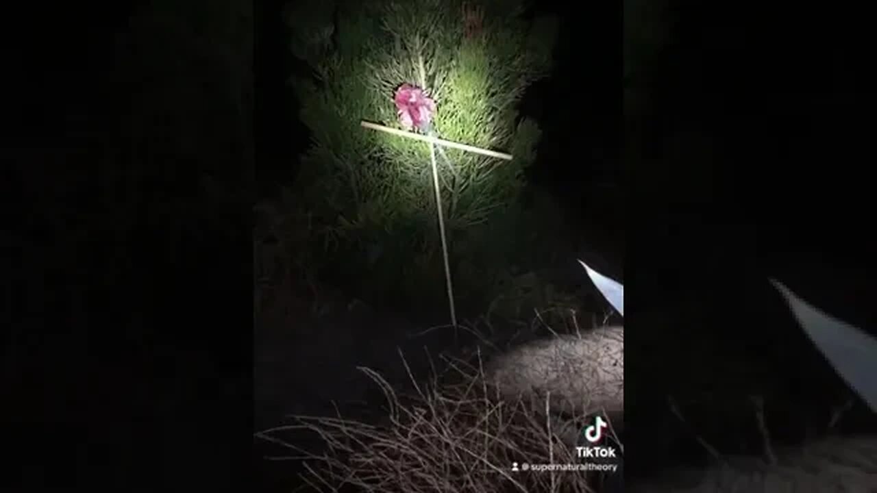 Witch Magic is found at this Abandoned Cemetery!!!