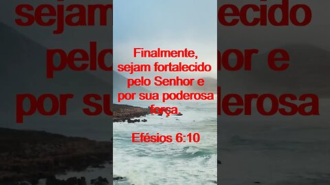 Verso Do Dia | Leitura Inspiradora Para Começar Seu Dia. | 46