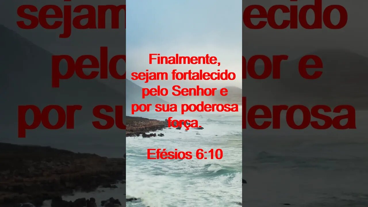 Verso Do Dia | Leitura Inspiradora Para Começar Seu Dia. | 46