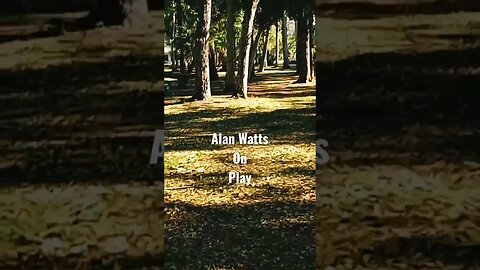 #alanwatts #alanwattsquotes #minimalist #hobolife #outlawlife #livinginmycar #work #play