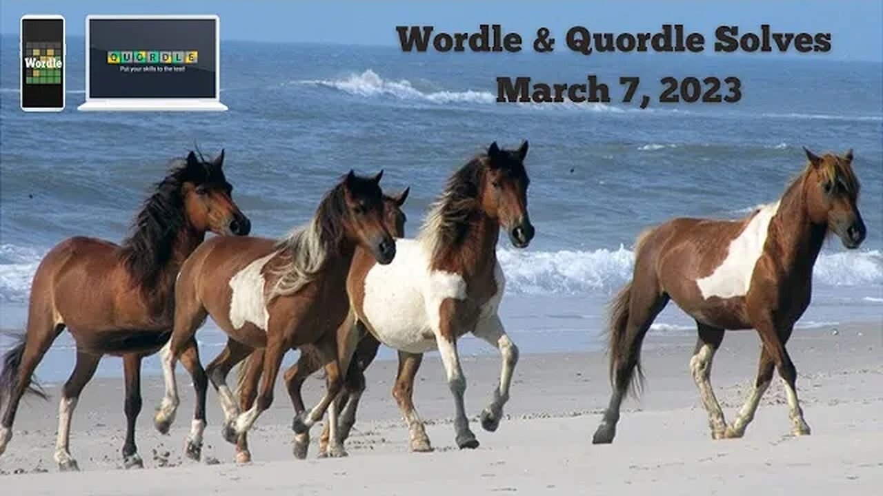 Wordle and Quordle Solves for March 7, 2023 ... Happy Be Herd Day...(Sorry...just horsing around.)