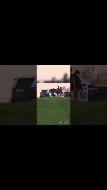 Teens on Stolen Horses Hit by Car in Dallas #shorts #shortsvideo #dallas