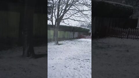 had some snow ❄️ today