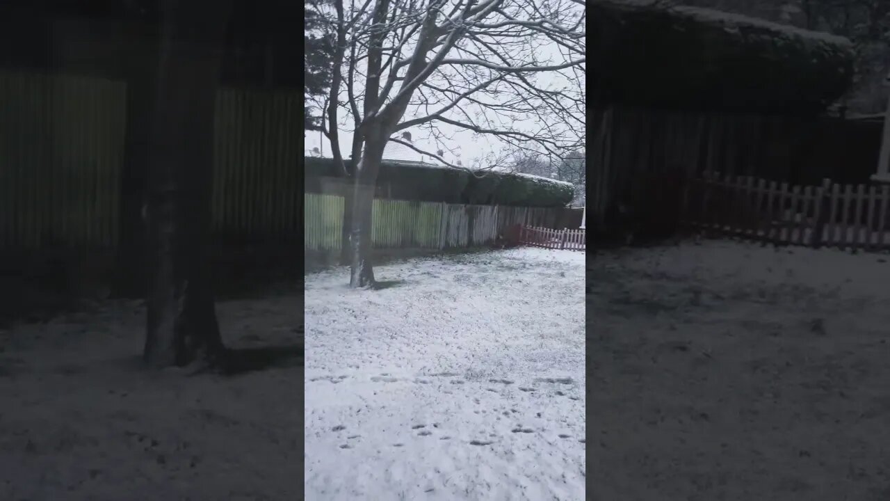 had some snow ❄️ today