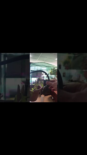 Old lamp made into a plant stand