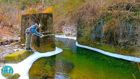 Winter Fly Fishing in BRUTAL Conditions! (Trout Fishing)