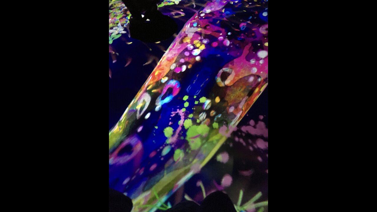 TeamLabs Borderless Exhibition Tokyo Bay Feb 2019