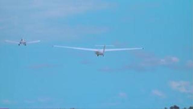 Visit Florida, Miami Gliders