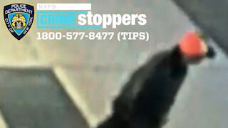 NYC Police Search For Suspect After Attack