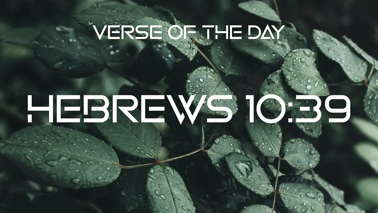 January 20, 2023 - Hebrews 10:39 // Verse of the Day