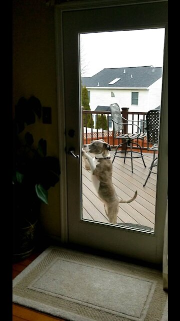 Liberty The Pitt Taught Herself This!