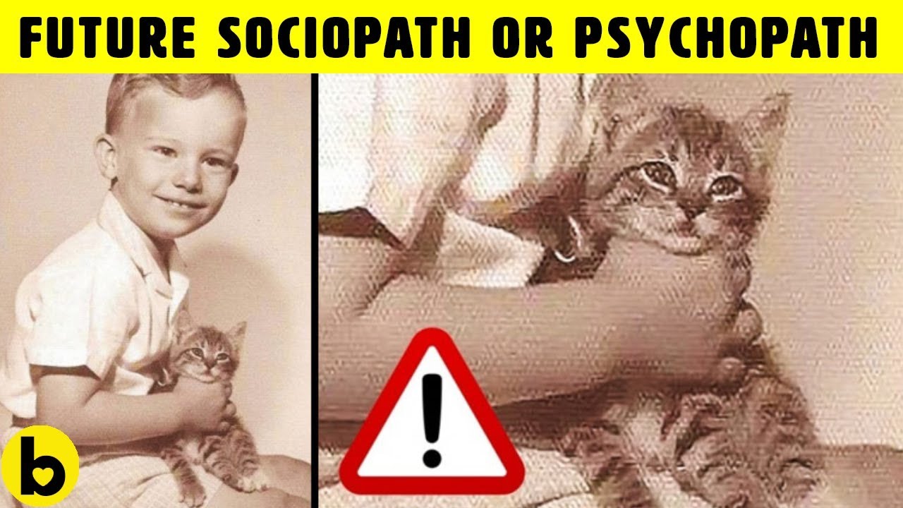 5 Signs of a Future Sociopath or Psychopath