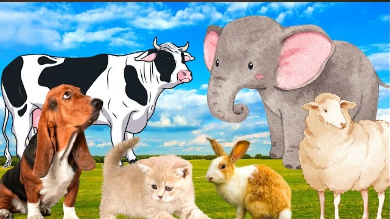 Farm animal colors - Cow, Dog, Rabbit, Sheep, Pig - Animal moments