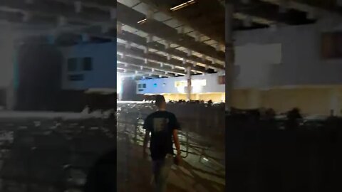 ✅CORTES #3 - R-BOX NA BGS 2022