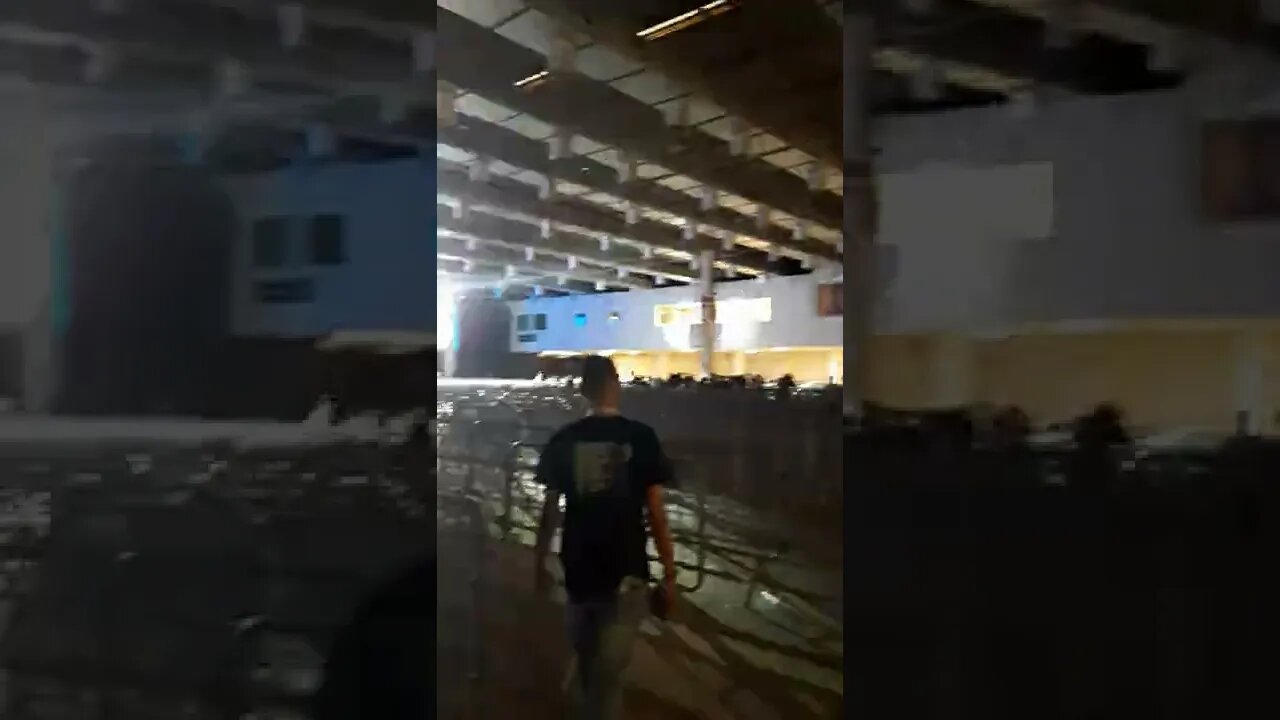 ✅CORTES #3 - R-BOX NA BGS 2022